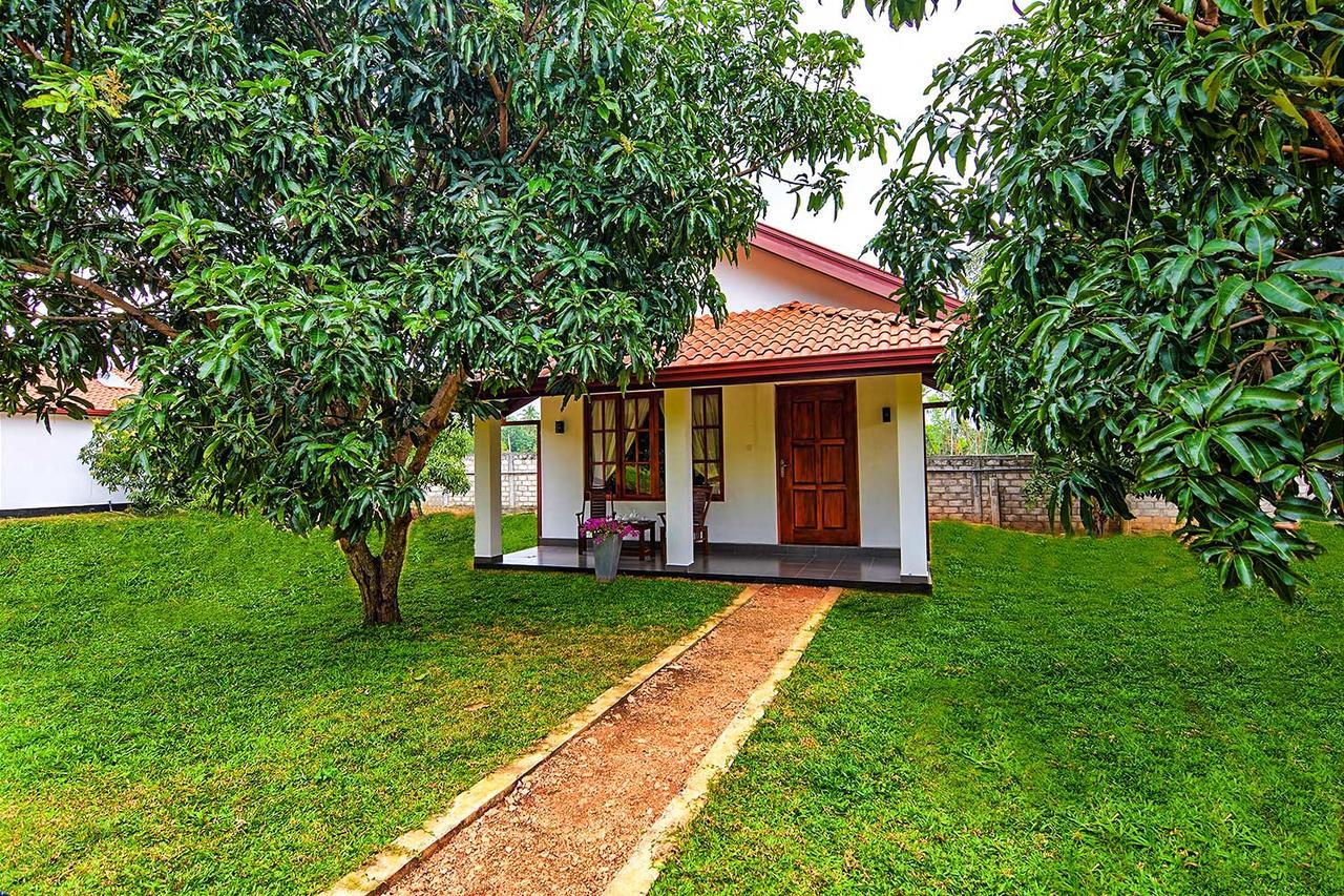Dambulla Hills Resort Exterior photo