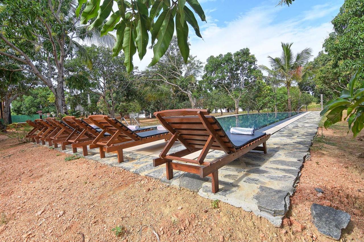 Dambulla Hills Resort Exterior photo